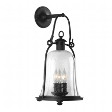 Troy Orange B9463-TBK - Owings Mill Wall Sconce