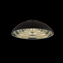 Troy Orange C3716-SBK - Eclipse Flush Mount