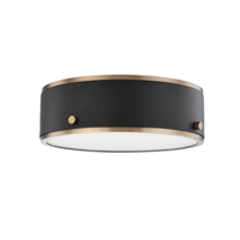 Troy Orange C8312-PBR/SFB - Eli Flush Mount