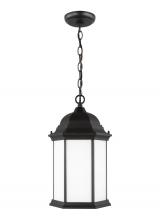 Generation Lighting 6238751EN3-12 - Sevier One Light Outdoor Pendant