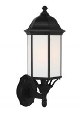 Generation Lighting 8838751EN3-12 - Sevier Medium One Light Uplight Outdoor Wall Lantern