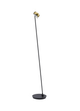Bethel International Canada MU149F64BR - Black and Stain Brass LED Floor Lamp