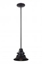 Craftmade Z4421-MN - Union 1 Light Large Outdoor Pendant in Midnight